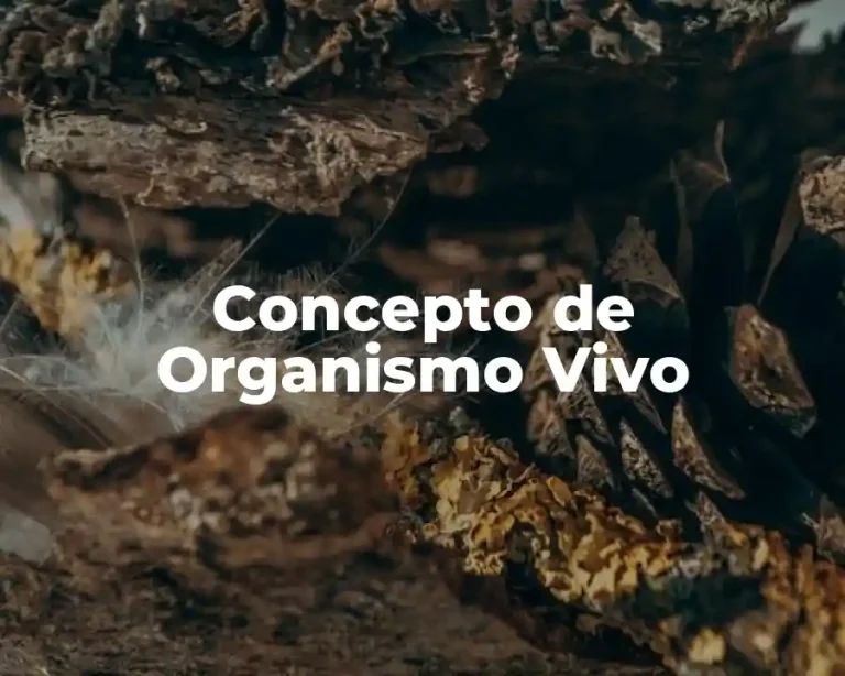 Concepto de Organismo Vivo