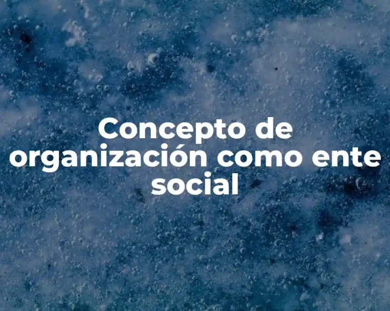 Concepto de organización como ente social