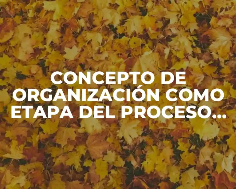 CONCEPTO DE ORGANIZACIÓN COMO ETAPA DEL PROCESO ADMINISTRATIVO
