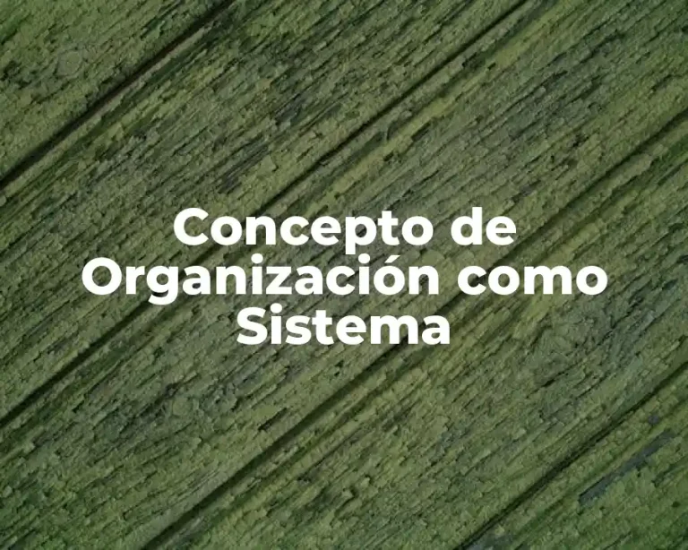 Concepto de Organización como Sistema
