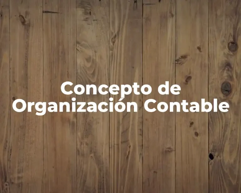 Concepto de Organización Contable