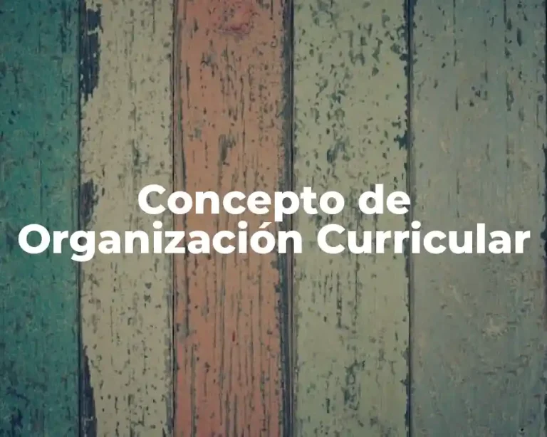 Concepto de Organización Curricular
