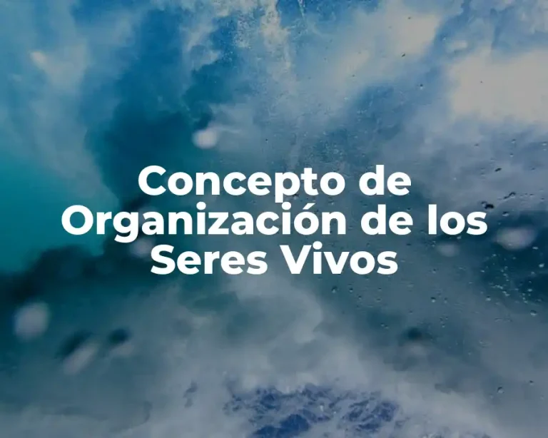 Concepto de Organización de los Seres Vivos