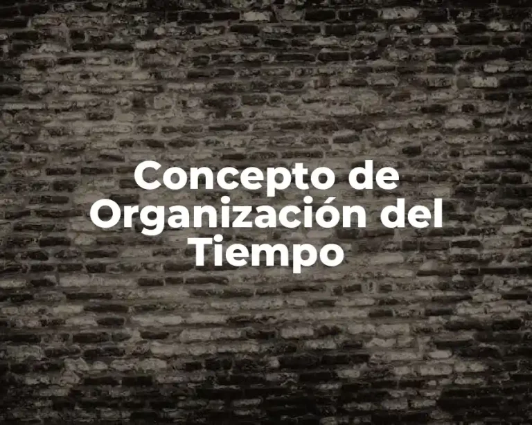 Concepto de Organización del Tiempo
