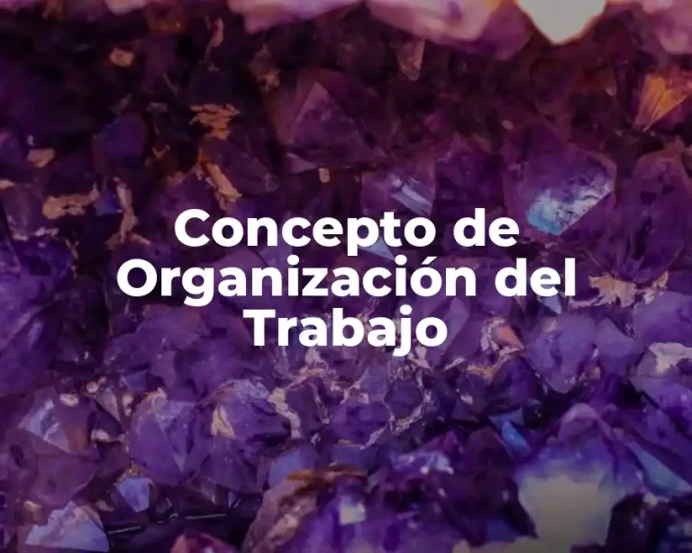 Concepto de Organización del Trabajo