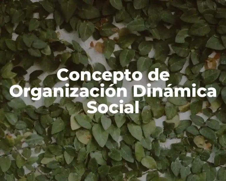 Concepto de Organización Dinámica Social