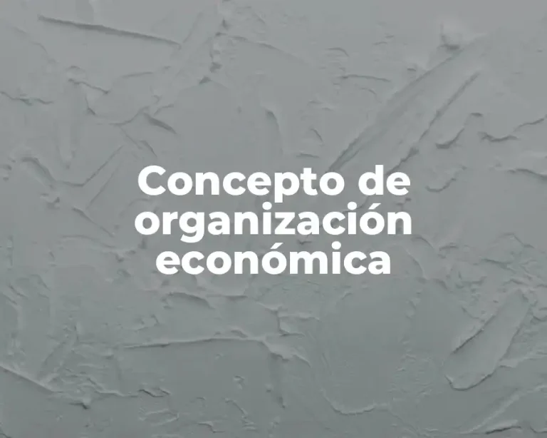 Concepto de organización económica