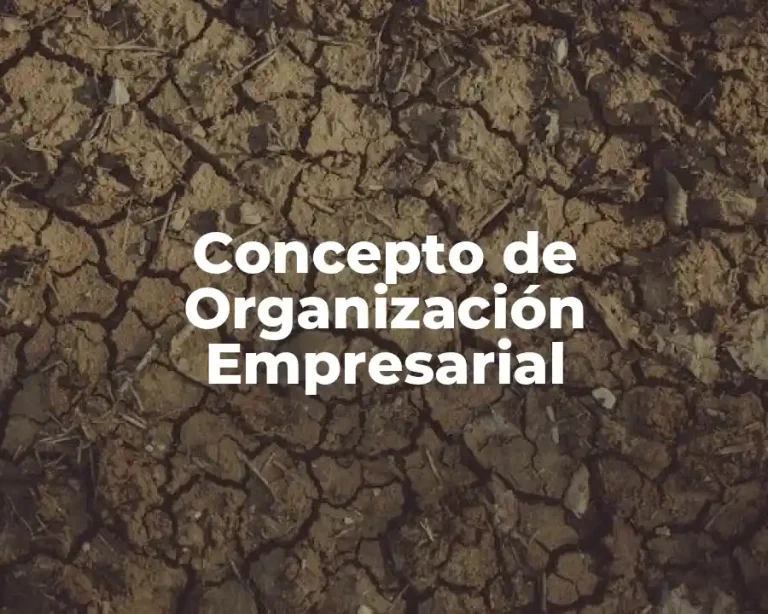 Concepto de Organización Empresarial