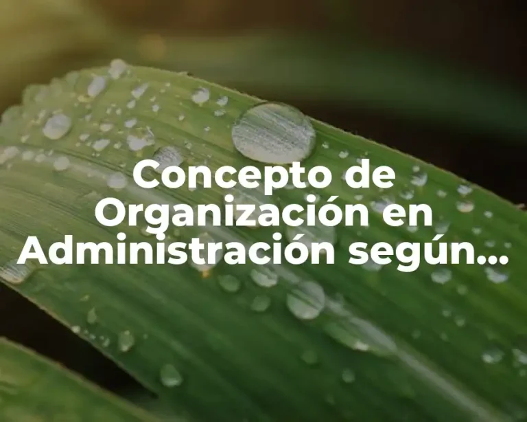 Concepto de Organización en Administración según Autores