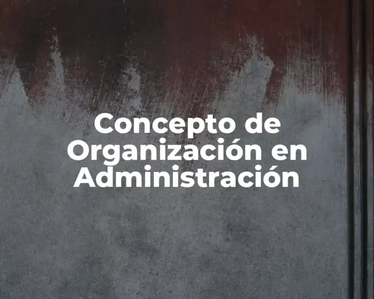 Concepto de Organización en Administración