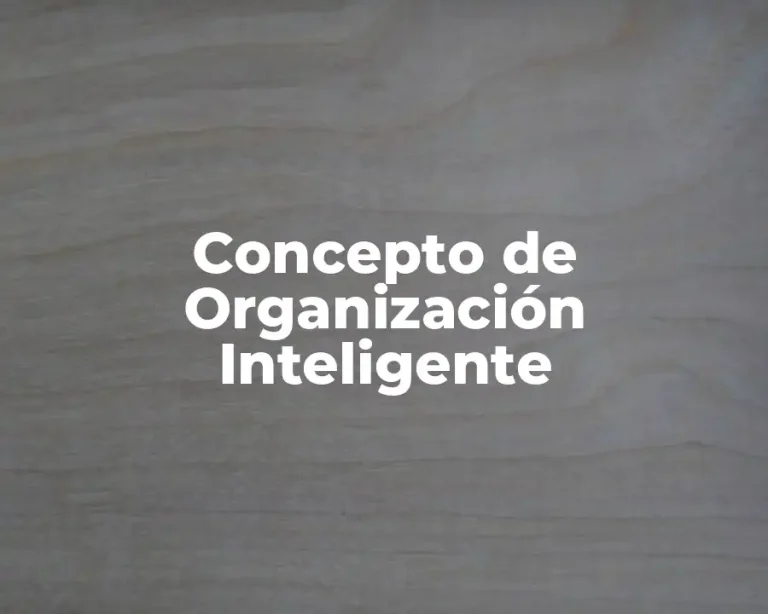 Concepto de Organización Inteligente