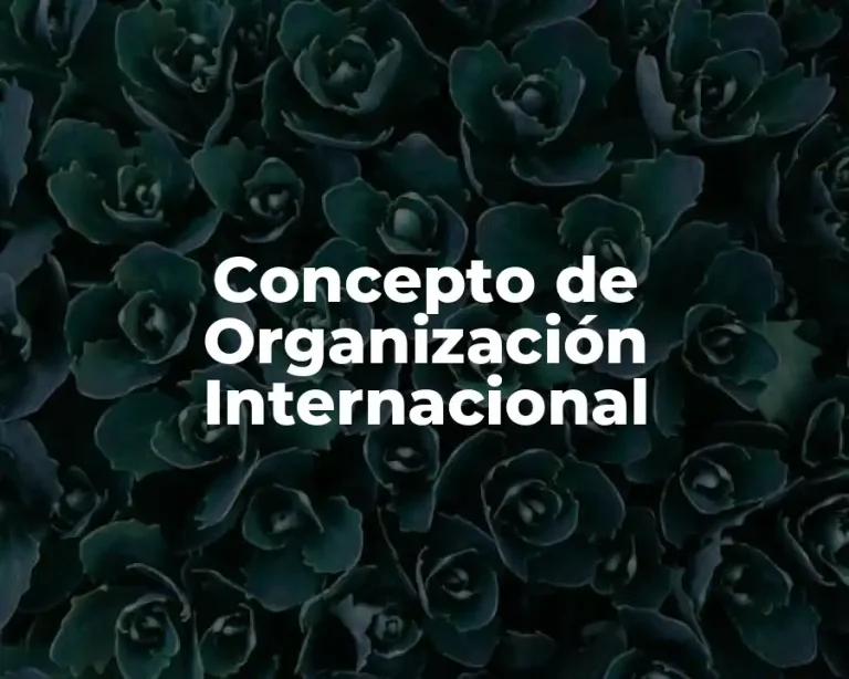 Concepto de Organización Internacional
