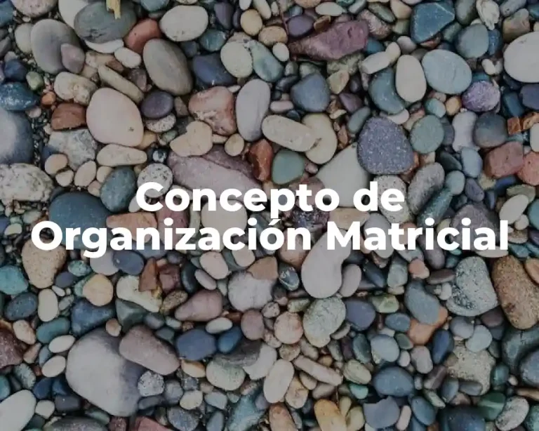 Concepto de Organización Matricial