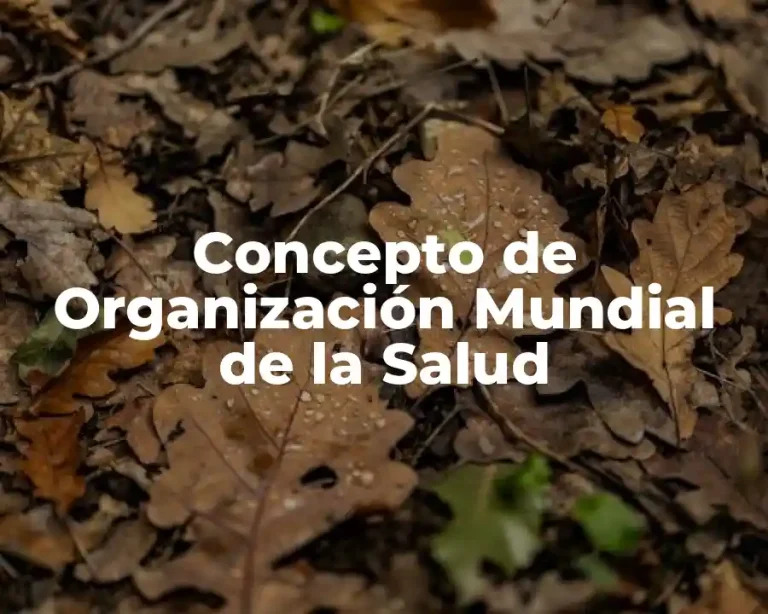 Concepto de Organización Mundial de la Salud