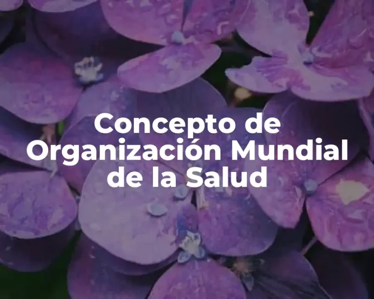 Concepto de Organización Mundial de la Salud