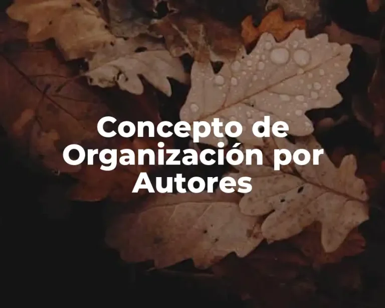 Concepto de Organización por Autores