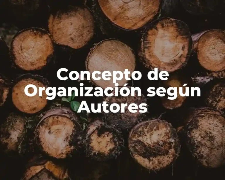 Concepto de Organización según Autores