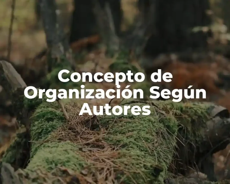 Concepto de Organización Según Autores