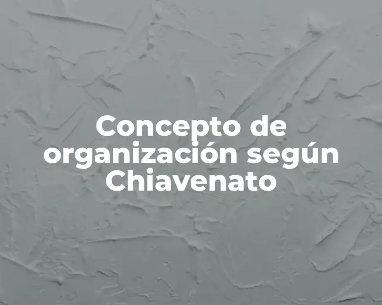 Concepto de organización según Chiavenato
