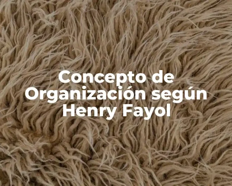 Concepto de Organización según Henry Fayol