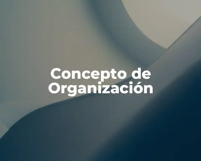 Concepto de Organización