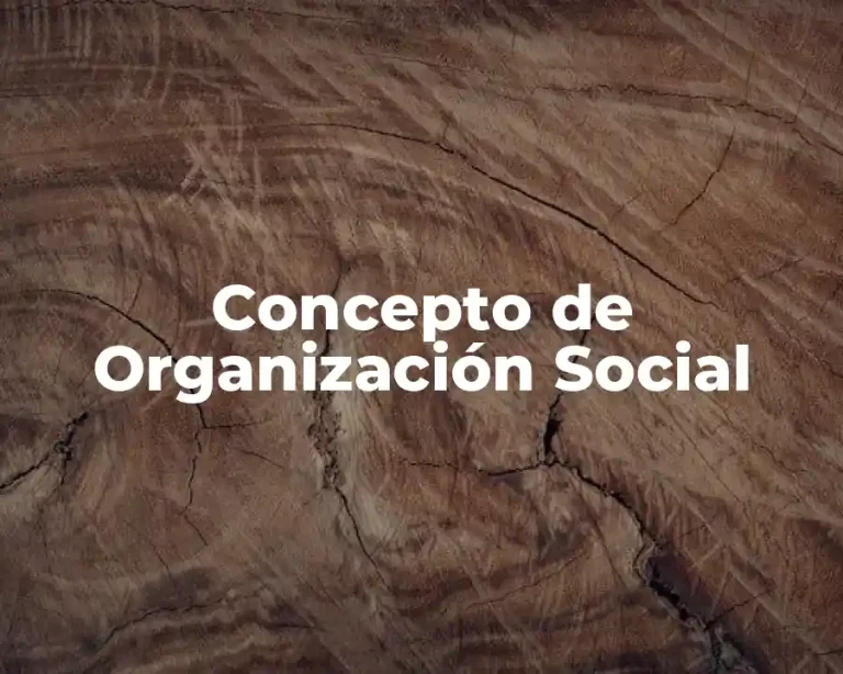 Concepto de Organización Social