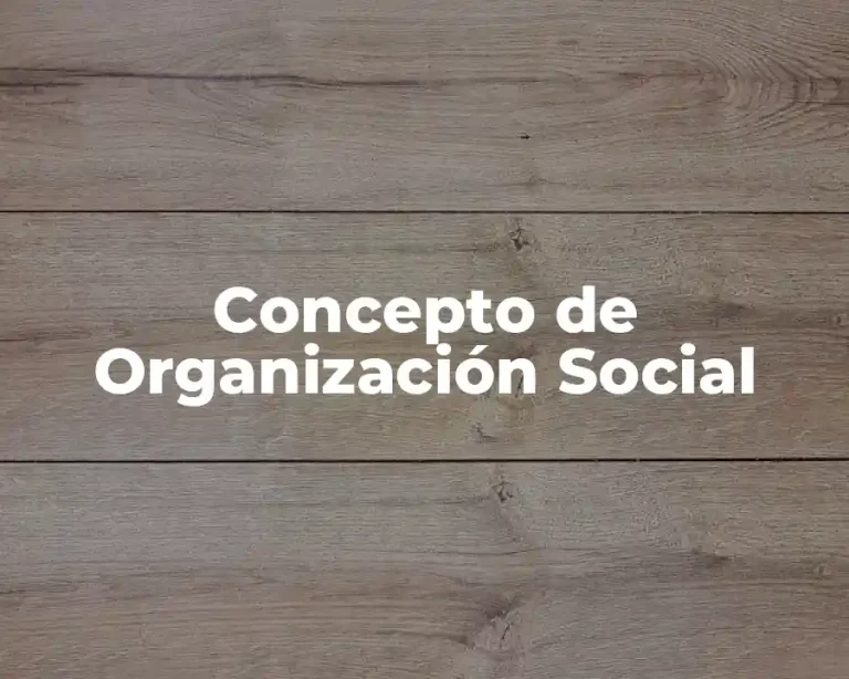 Concepto de Organización Social