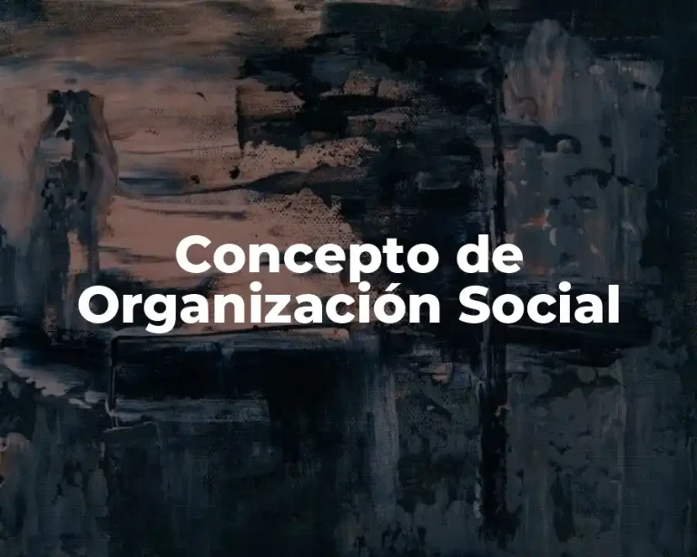 Concepto de Organización Social