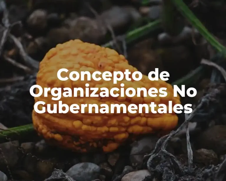 Concepto de Organizaciones No Gubernamentales