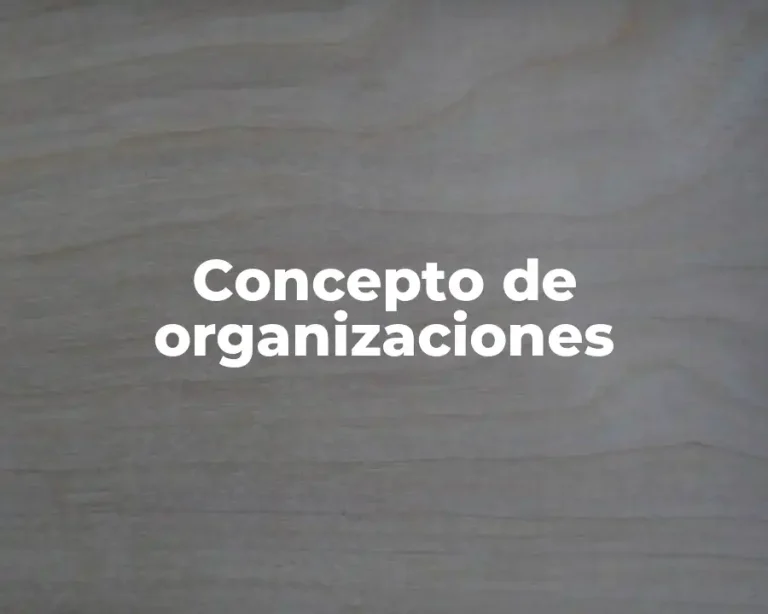 Concepto de organizaciones