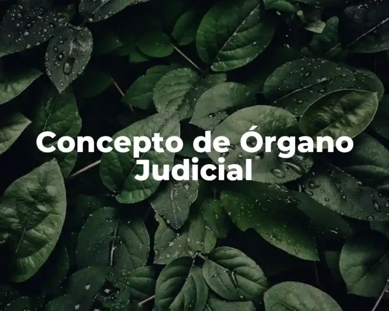 Concepto de Órgano Judicial