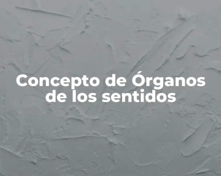 Concepto de Órganos de los sentidos