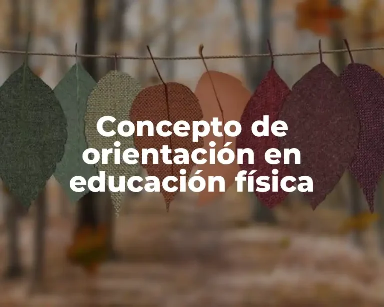 Concepto de orientación en educación física