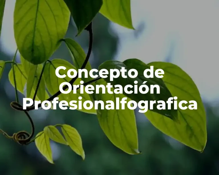 Concepto de Orientación Profesionalfografica