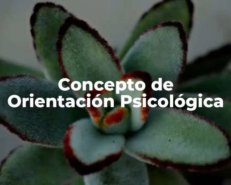 Concepto de Orientación Psicológica