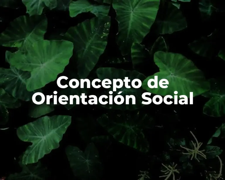 Concepto de Orientación Social