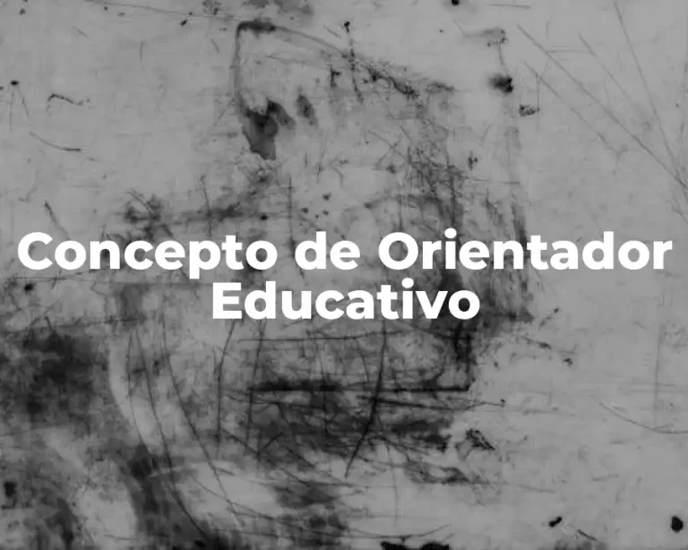 Concepto de Orientador Educativo
