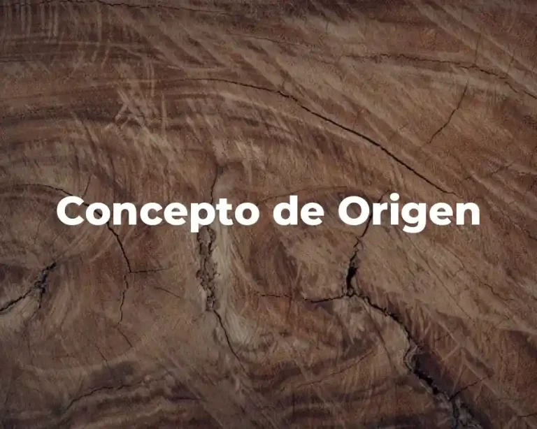 Concepto de Origen