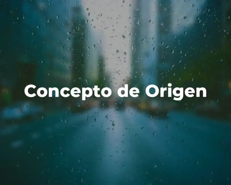 Concepto de Origen