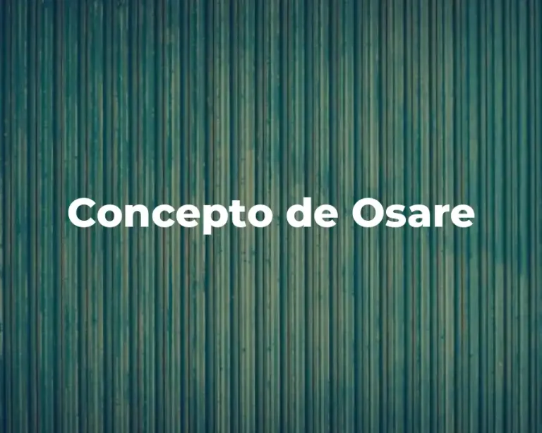 Concepto de Osare
