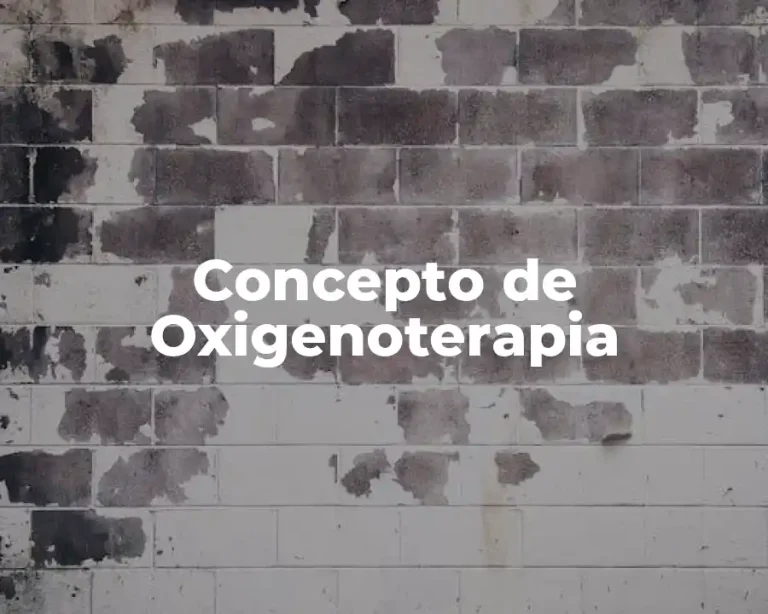 Concepto de Oxigenoterapia