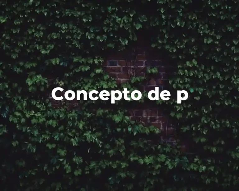 Concepto de p