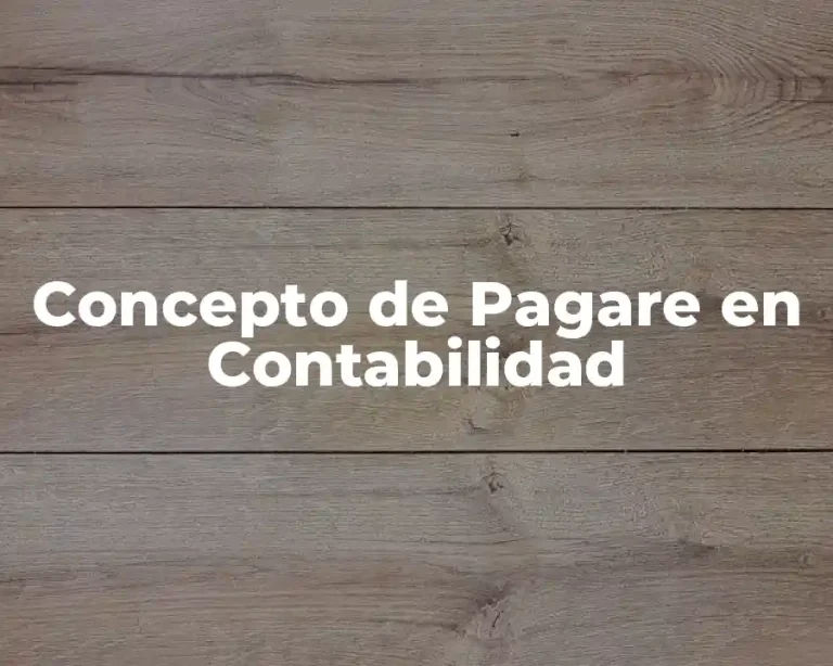 Concepto de Pagare en Contabilidad