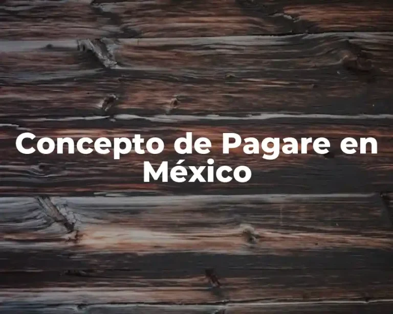 Concepto de Pagare en México