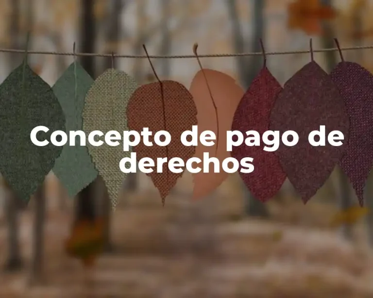 Concepto de pago de derechos