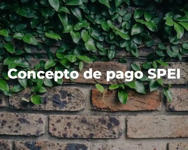 Concepto de pago SPEI
