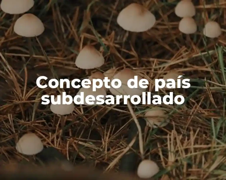Concepto de país subdesarrollado