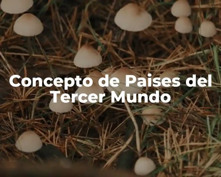 Concepto de Paises del Tercer Mundo