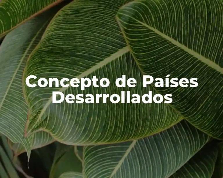 Concepto de Países Desarrollados