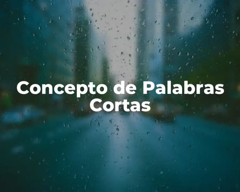 Concepto de Palabras Cortas